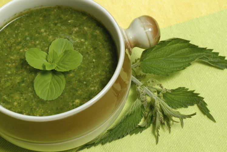 For the Brave of Mouth…Stinging Nettle